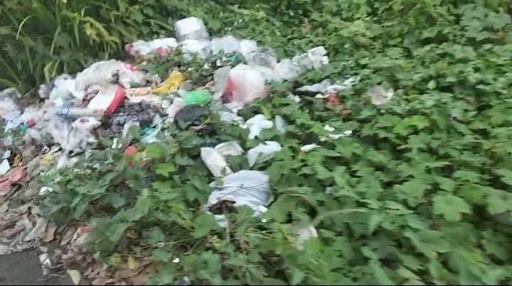 Dampak Buang Sampah Sembarangan Terhadap Lingkungan Dan Kesehatan Masyarakat Di Kota Medan 2 Screenshot 20241221 003658 Gallery e1734752734996