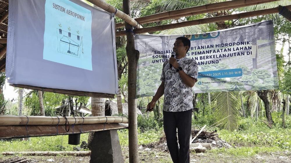 KKN PMD UNRAM Sukses Mengadakan Pelatihan Pertanian Hidroponik Untuk Pertanian Berkelanjutan Di Desa Tanjung 3 3 1