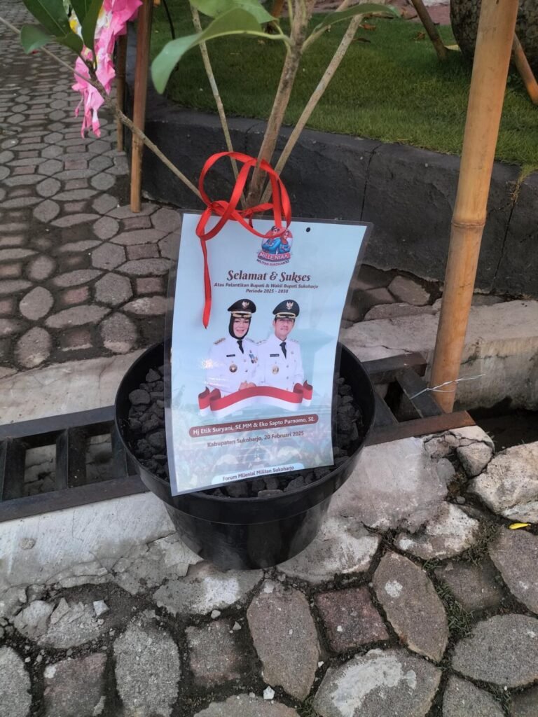 WhatsApp Image 2025 02 20 at 06.14.43