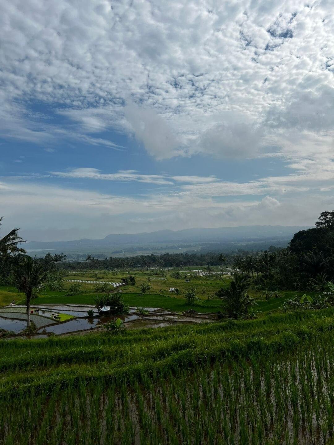 5 Wisata Alam di Jawa Tengah yang Wajib Masuk Bucket List-mu! 2 Wisata Alam