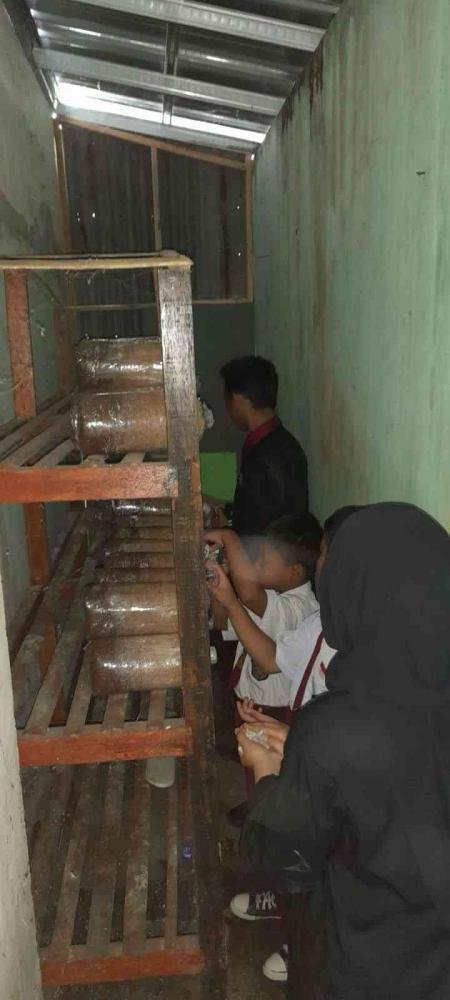 PMM UMM Kelompok 28 Gelombang 08: Budidaya Jamur dengan Memanfaatkan Limbah Organik yang Melimpah, Murah dan Mudah Didapatkan di Sekitar Kita 2 Jamur